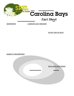Carolina Bays FS
