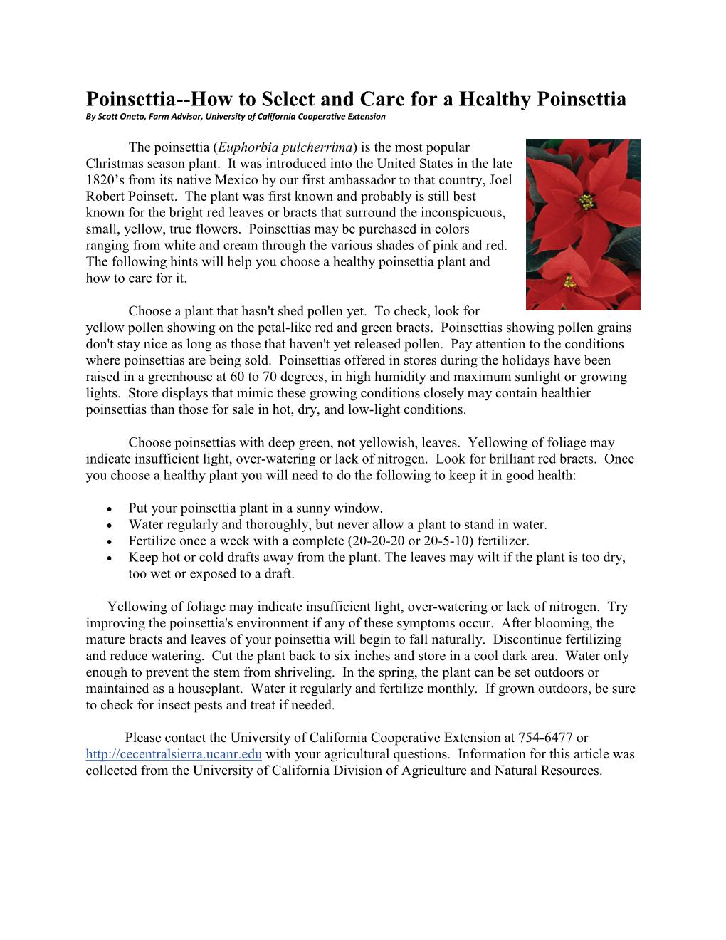 Poinsettia--How to Select and Care for a Healthy Poinsettia by Scott Oneto, Farm Advisor, University of California Cooperative Extension