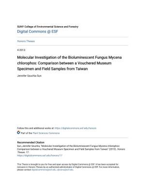 Molecular Investigation of the Bioluminescent Fungus Mycena Chlorophos: Comparison Between a Vouchered Museum Specimen and Field Samples from Taiwan