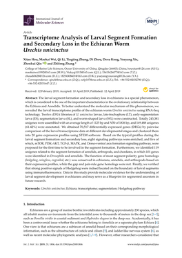 Transcriptome Analysis of Larval Segment Formation and Secondary Loss in the Echiuran Worm Urechis Unicinctus