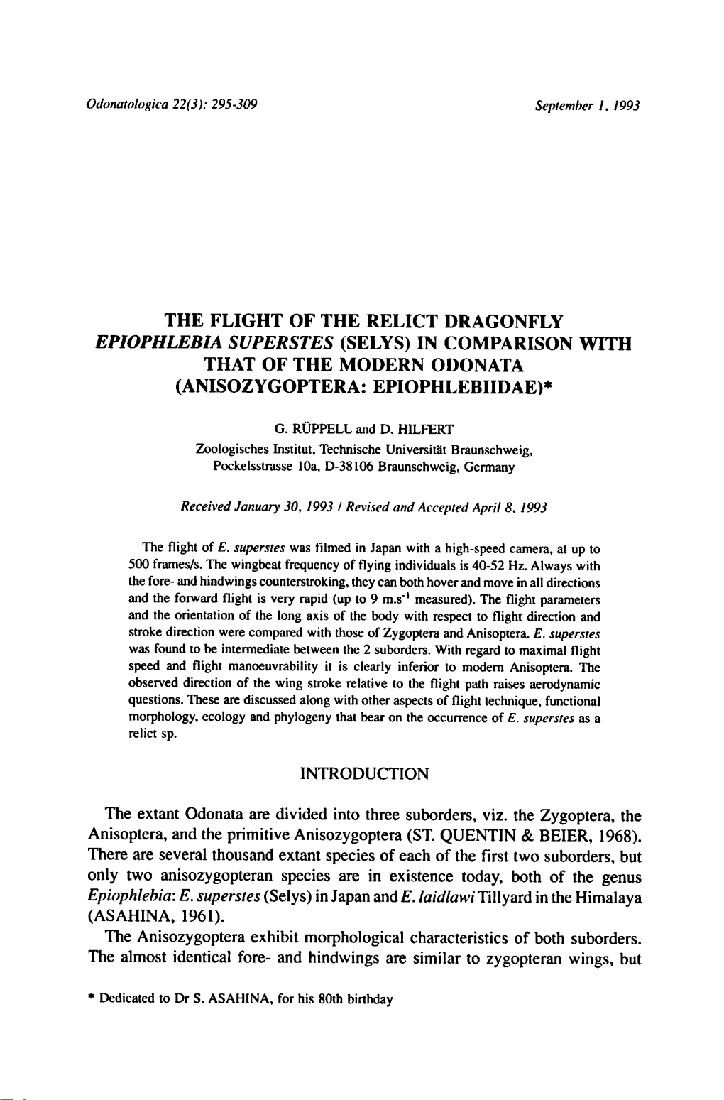 Anisozygoptera: the Zygoptera, the Anisoptera, and the Primitive Anisozygoptera (ST. QUENTIN & BEIER, Only Two Anisozygop