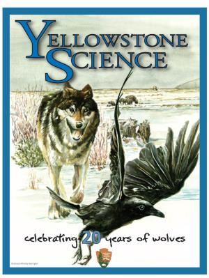 Celebrating 20 Years of Wolves PLEASE Consider Subscribing to Yellowstone Science Digitally