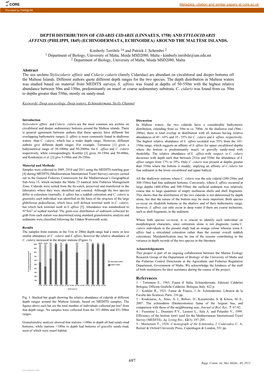 Depth Distribution of Cidaris Cidaris (Linnaeus, 1758) and Stylocidaris Affinis (Philippi, 1845) (Echinodermata, Echinoidea) Around the Maltese Islands