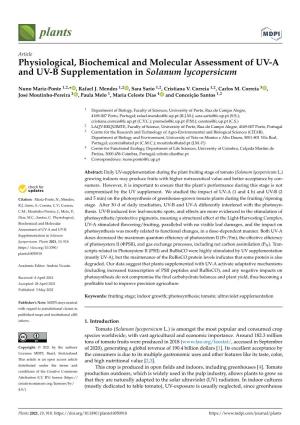 Physiological, Biochemical and Molecular Assessment of UV-A and UV-B Supplementation in Solanum Lycopersicum