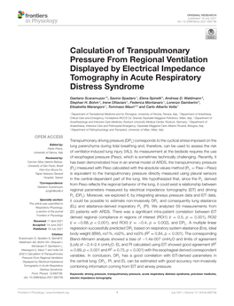 Calculation of Transpulmonary Pressure from Regional Ventilation Displayed by Electrical Impedance Tomography in Acute Respiratory Distress Syndrome