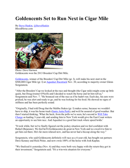 Goldencents Set to Run Next in Cigar Mile