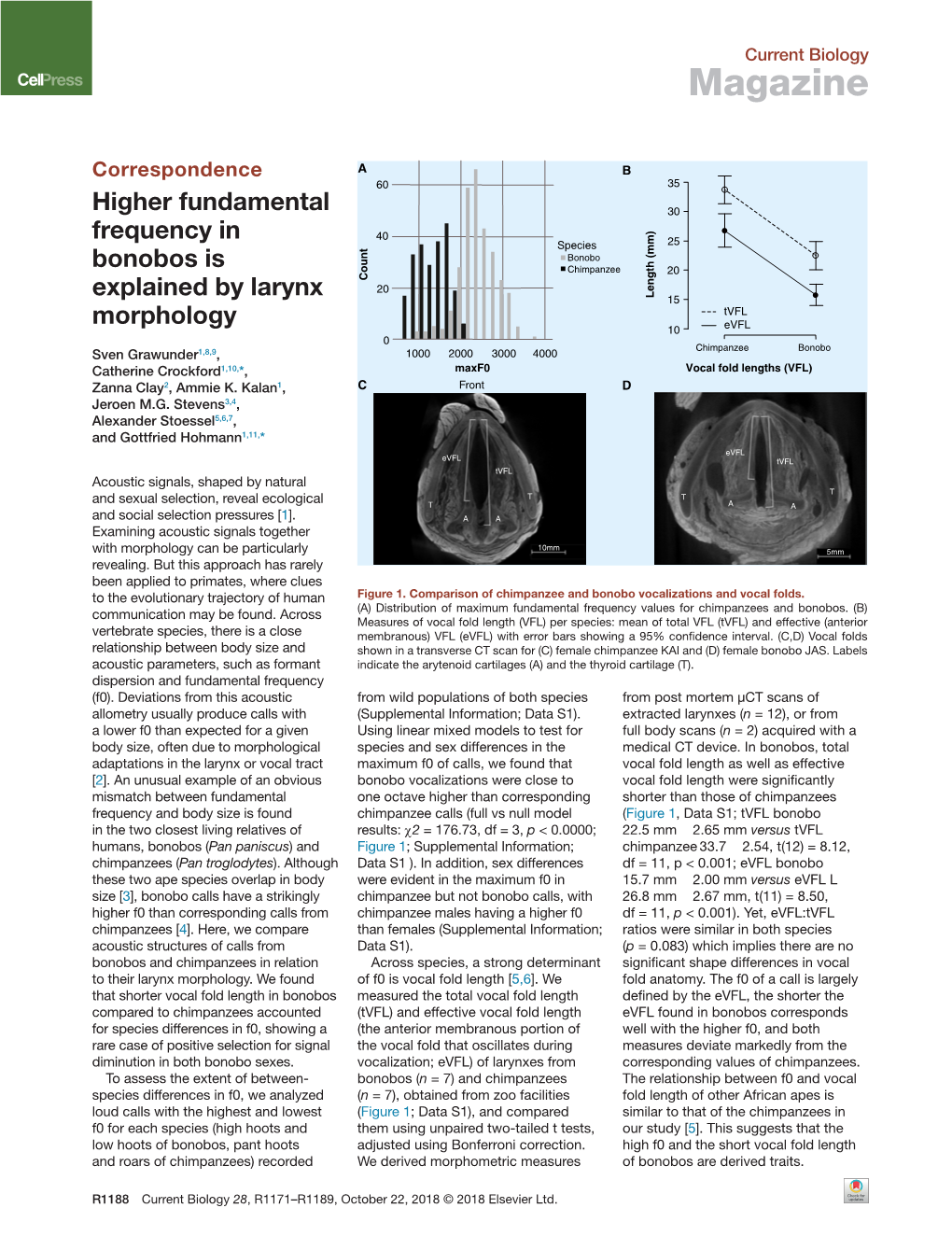 Higher Fundamental Frequency in Bonobos Is Explained by Larynx