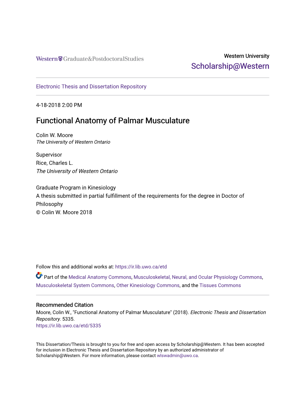 Functional Anatomy of Palmar Musculature