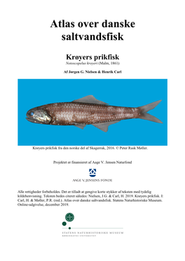 Krøyers Prikfisk Notoscopelus Kroyeri (Malm, 1861)