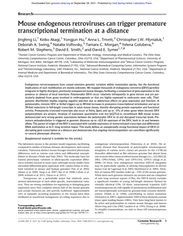 Mouse Endogenous Retroviruses Can Trigger Premature Transcriptional Termination at a Distance