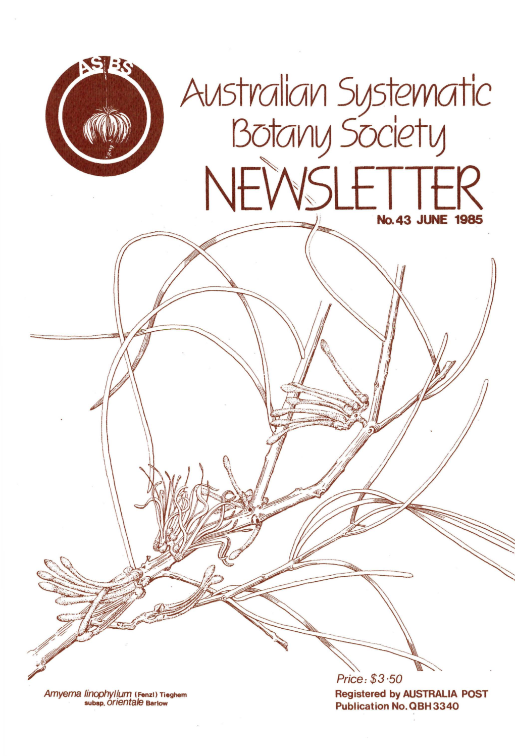 NEWSLETTER -::::::=~~ ; No