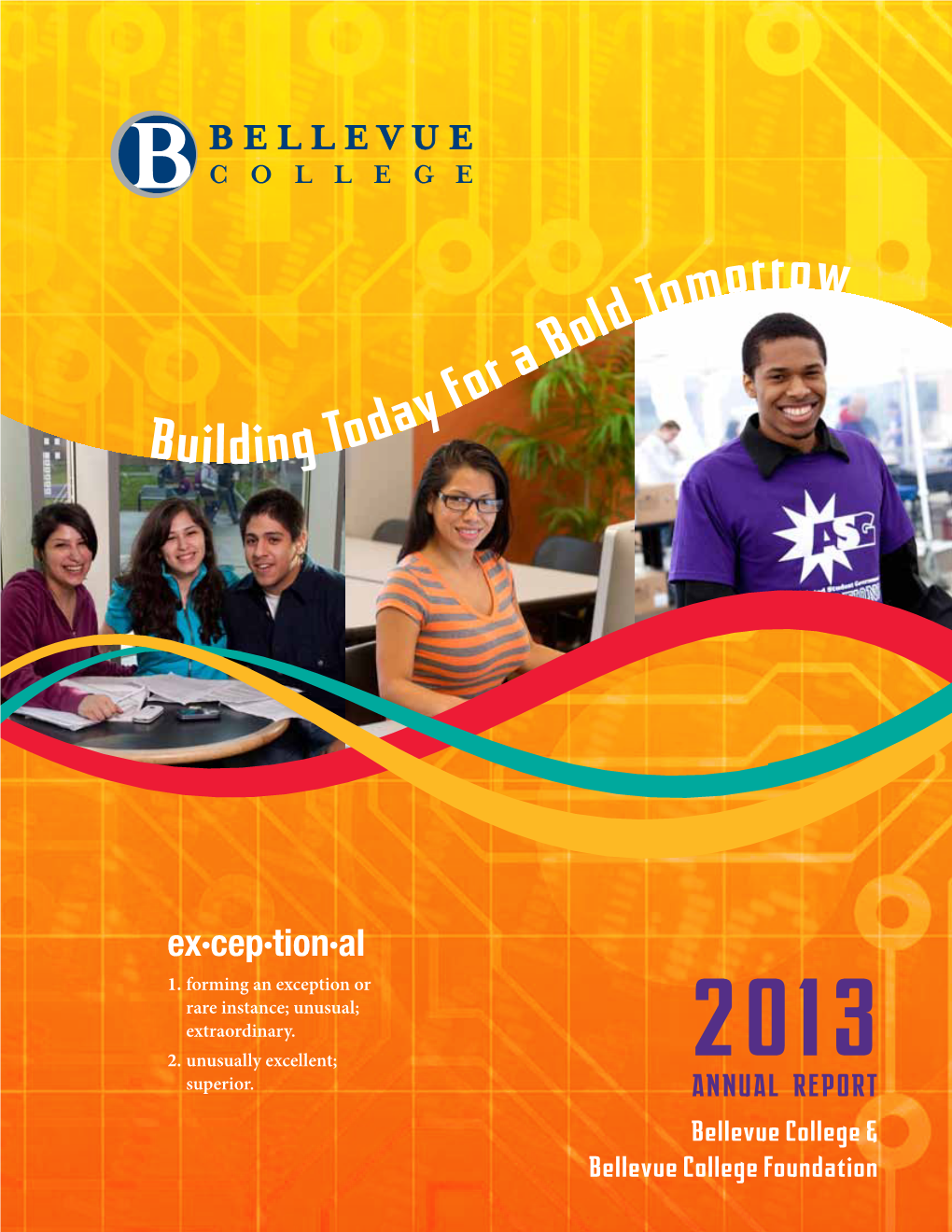 Annual Report 2013