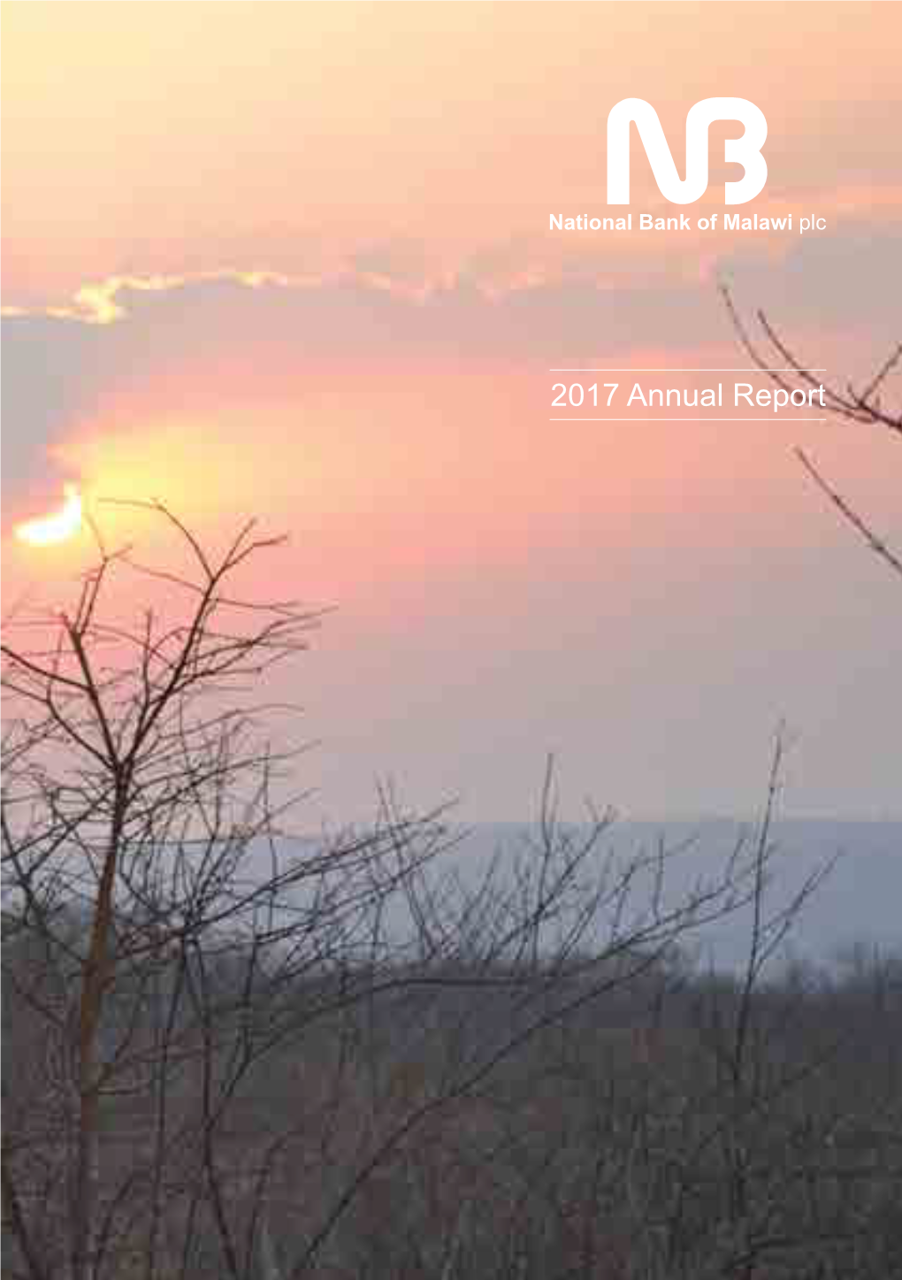 2017 Annual Report