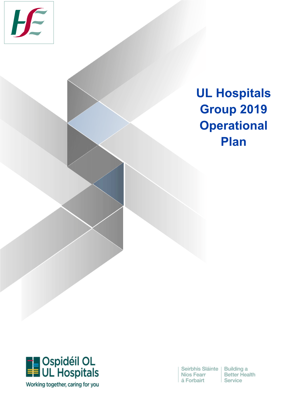 UL Hospitals Group 2019 Operational Plan