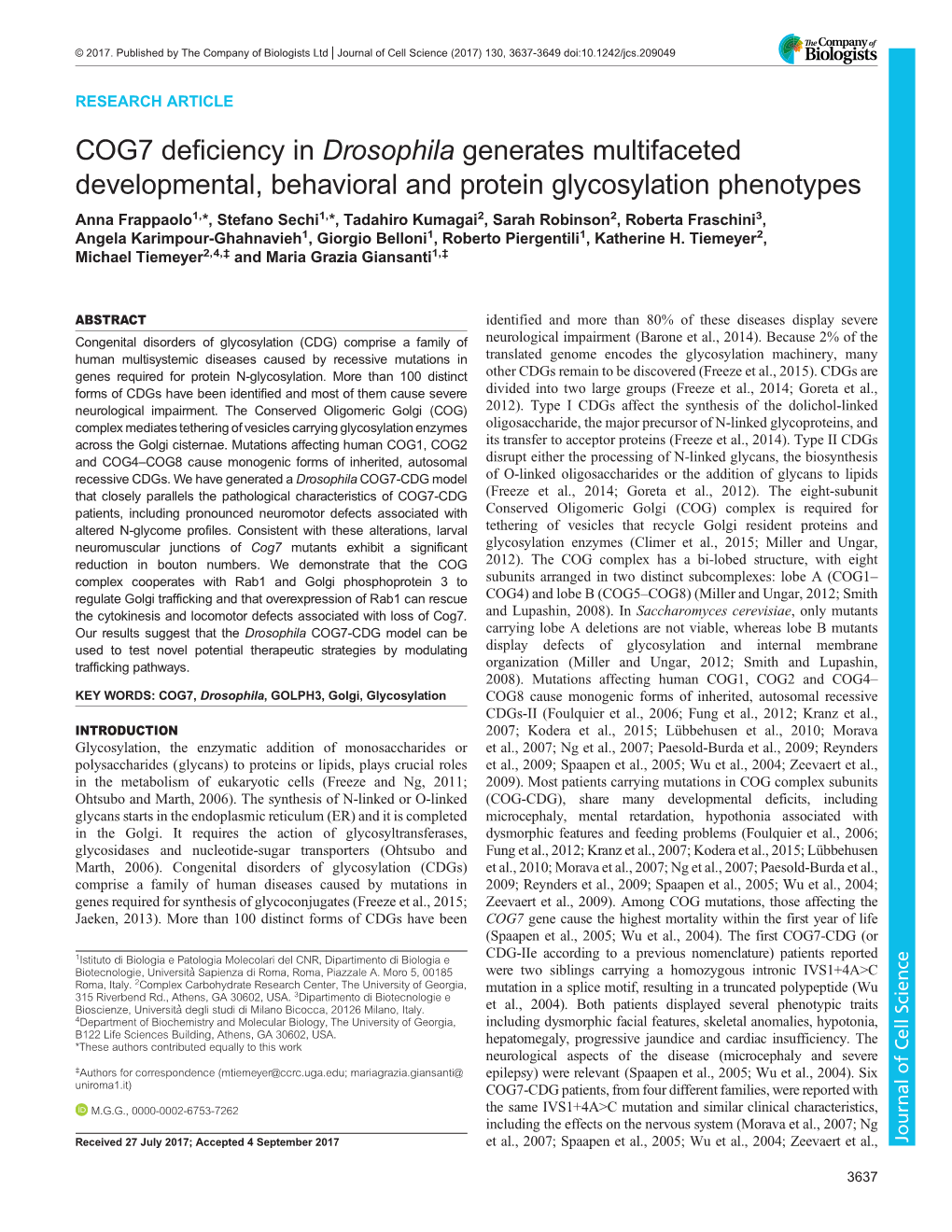 COG7 Deficiency in Drosophila Generates Multifaceted