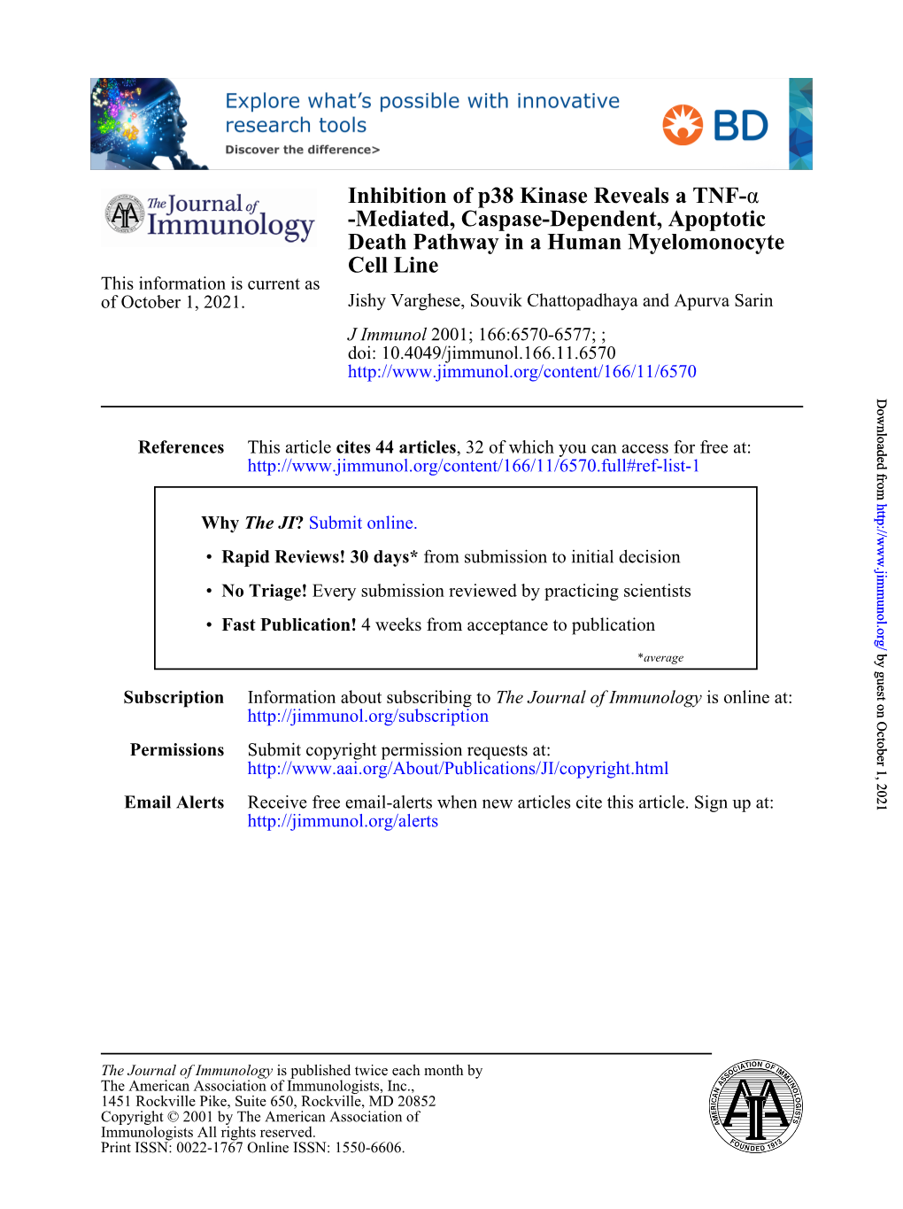 Cell Line Death Pathway in a Human Myelomonocyte -Mediated