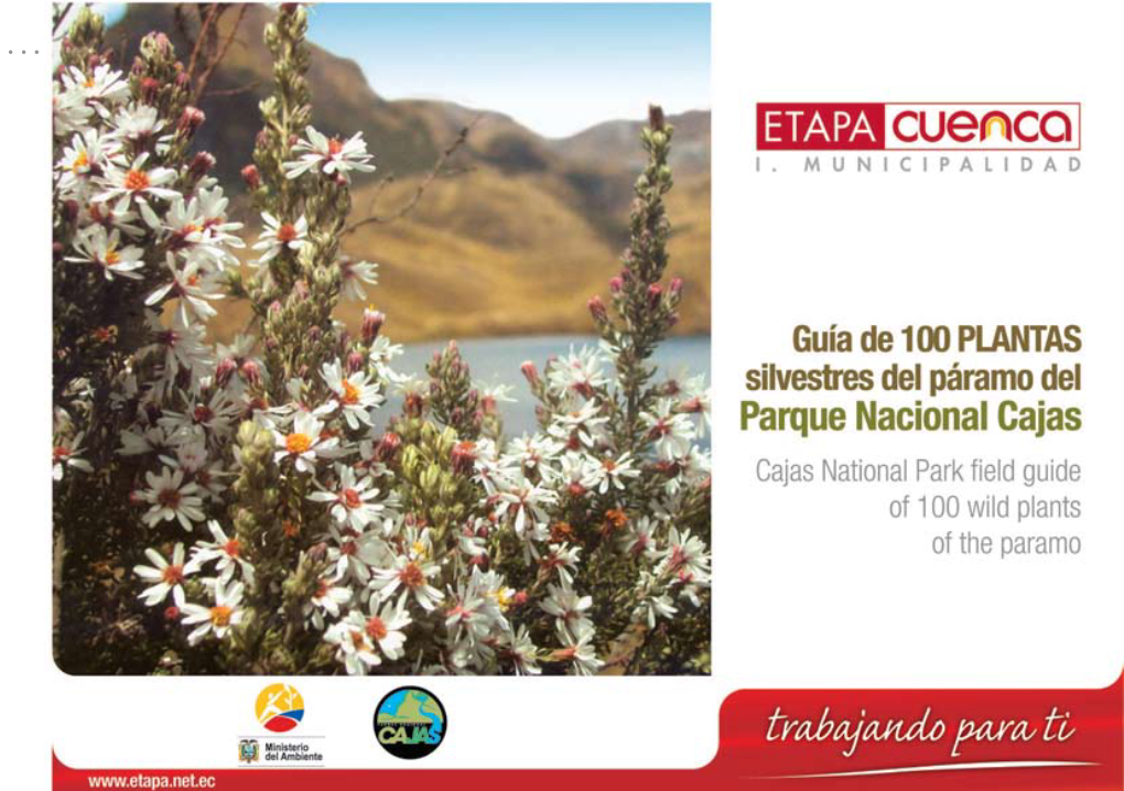 Sudamérica Plantas Del Parque Nacional Cajas