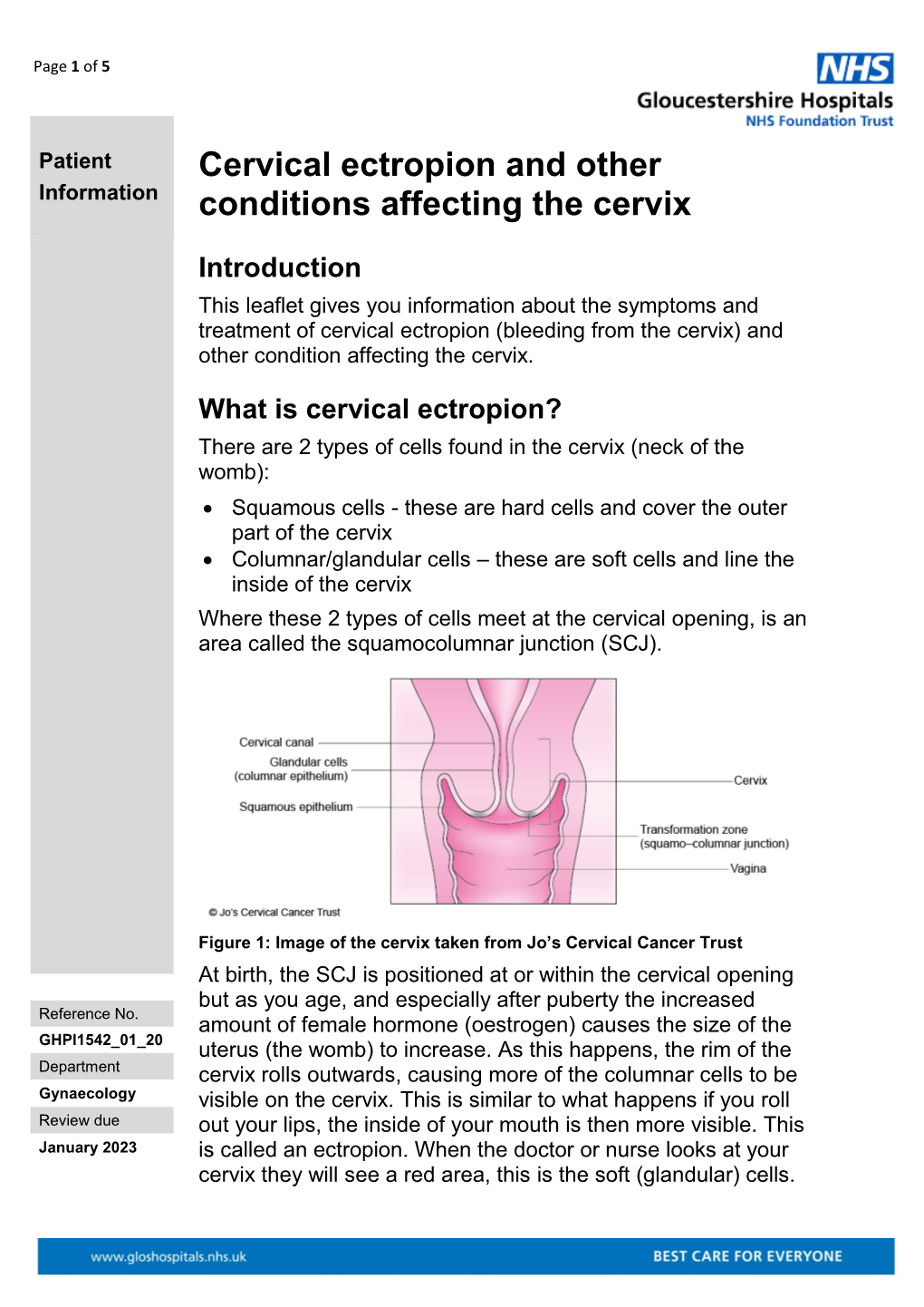 Cervical Ectropion And Other Conditions Affecting The Cervix Docslib