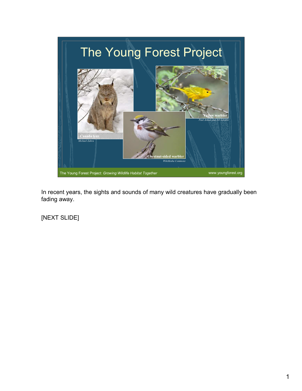 The Young Forest Project