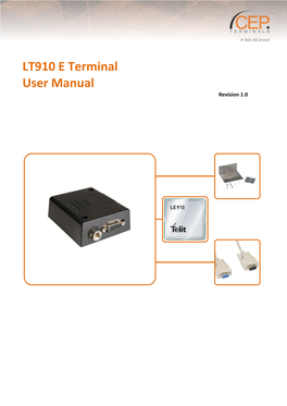 LT910 E Terminal User Manual Revision 1.0