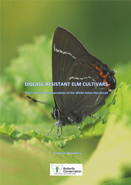 Disease-Resistant Elm Cultivars, Butterfly Conservation Trials Report August 2019