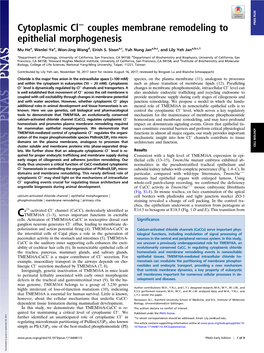 Cytoplasmic Cl− Couples Membrane Remodeling to Epithelial Morphogenesis