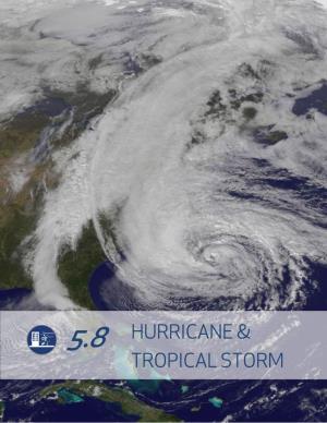 Hurricane & Tropical Storm