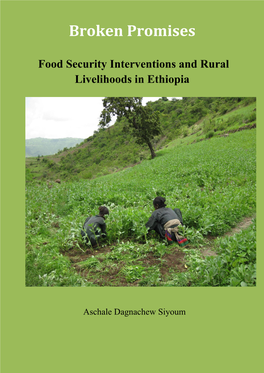 Broken Promises: Food Security Interventions and Rural Livelihoods in Ethiopia 172 Pages