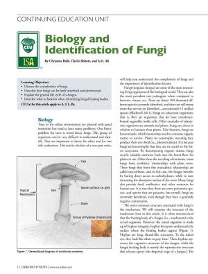 Biology and Identification of Fungi by Christine Balk, Chelsi Abbott, and A.D