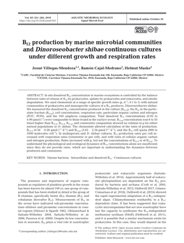 B12 Production by Marine Microbial Communities and Dinoroseobacter Shibae Continuous Cultures Under Different Growth and Respiration Rates