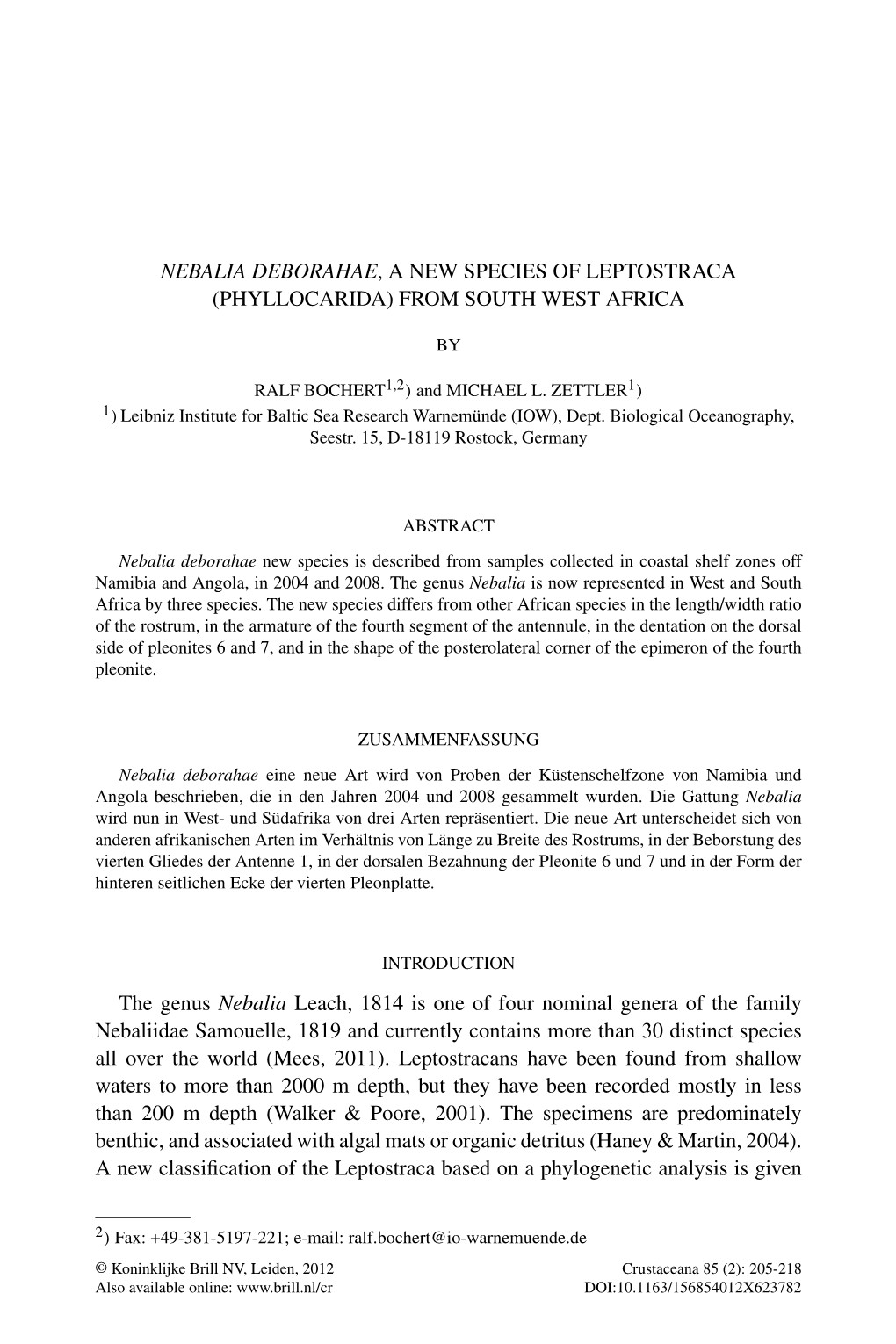 Nebalia Deborahae, a New Species of Leptostraca (Phyllocarida) from South West Africa