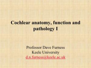 Cochlear Anatomy, Function and Pathology I