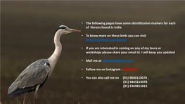 • the Following Pages Have Some Identification Markers for Each of Herons Found in India