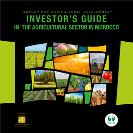 Investor's Guide in the Agricultural Sector in Morocco