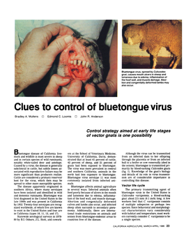 Clues to Control of Bluetongue Virus