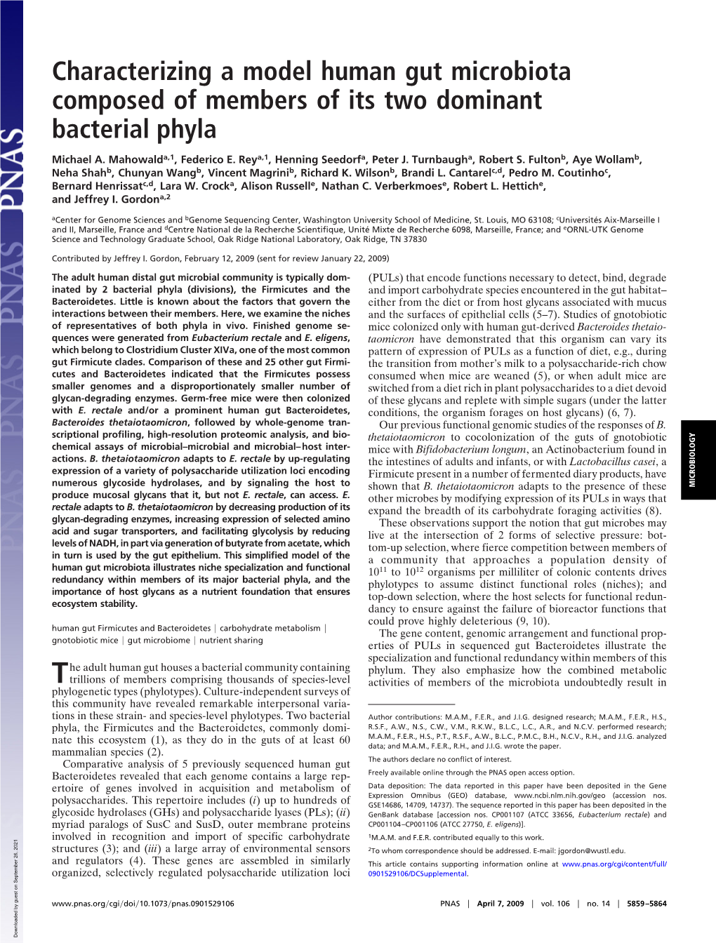 Characterizing a Model Human Gut Microbiota Composed of Members of Its Two Dominant Bacterial Phyla