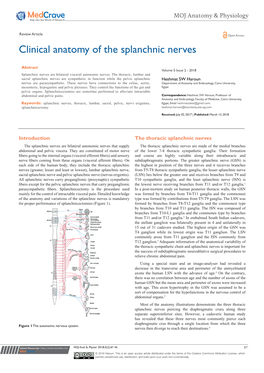 Clinical Anatomy of the Splanchnic Nerves