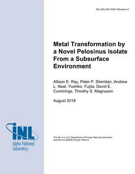 Metal Transformation by a Novel Pelosinus Isolate from a Subsurface Environment