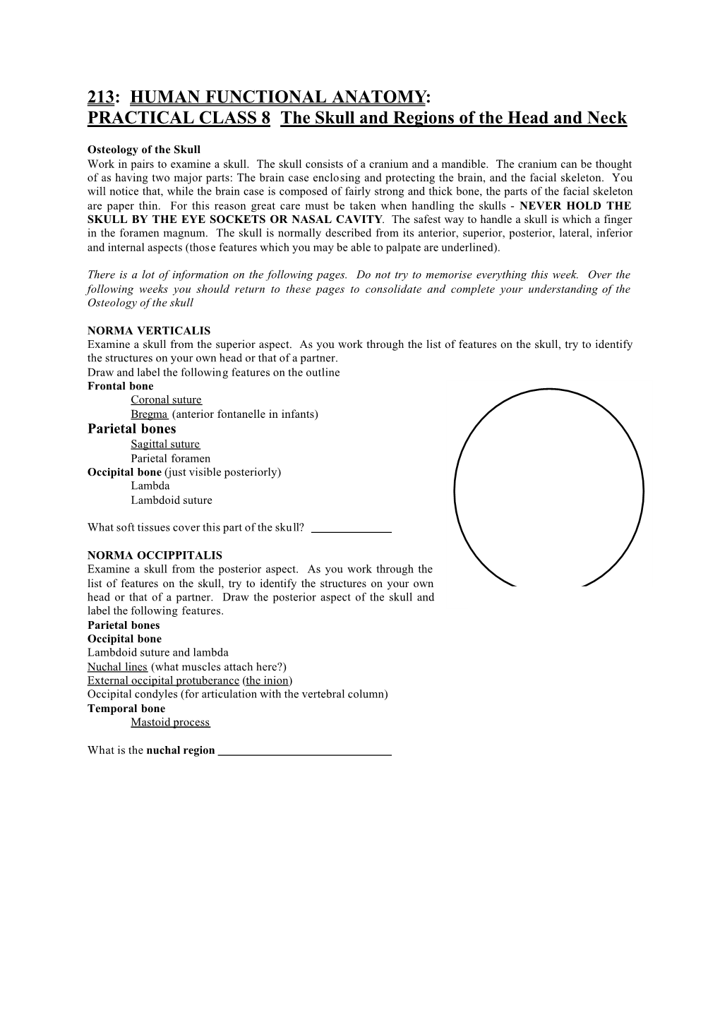 213: HUMAN FUNCTIONAL ANATOMY: PRACTICAL CLASS 8 the Skull and Regions of the Head and Neck