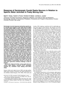 Response of Serotonergic Caudal Raphe Neurons in Relation to Specific Motor Activities in Freely Moving Cats