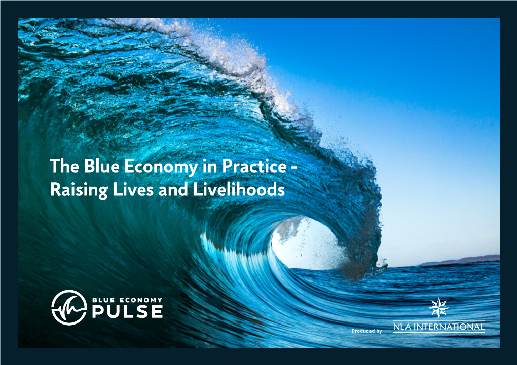 The Blue Economy in Practice - Raising Lives and Livelihoods