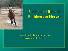 Equine Ophthalmoscopy