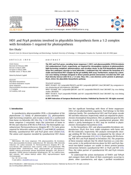 HO1 and Pcya Proteins Involved in Phycobilin Biosynthesis Form a 1:2 Complex with Ferredoxin-1 Required for Photosynthesis