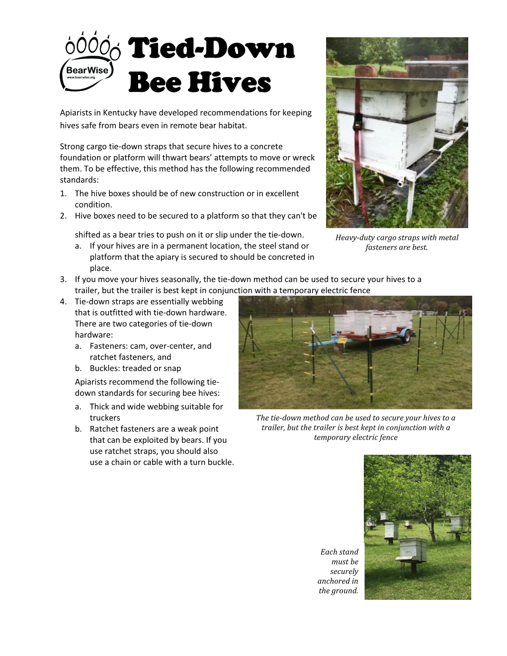 Tied-Down Bee Hives