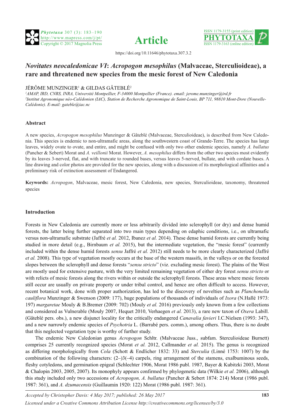 Novitates Neocaledonicae VI: Acropogon Mesophilus (Malvaceae, Sterculioideae), a Rare and Threatened New Species from the Mesic Forest of New Caledonia