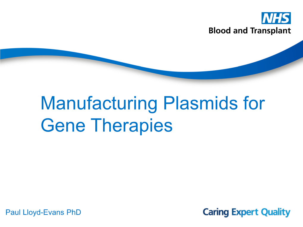Manufacturing of Plasmids for Gene Therapies
