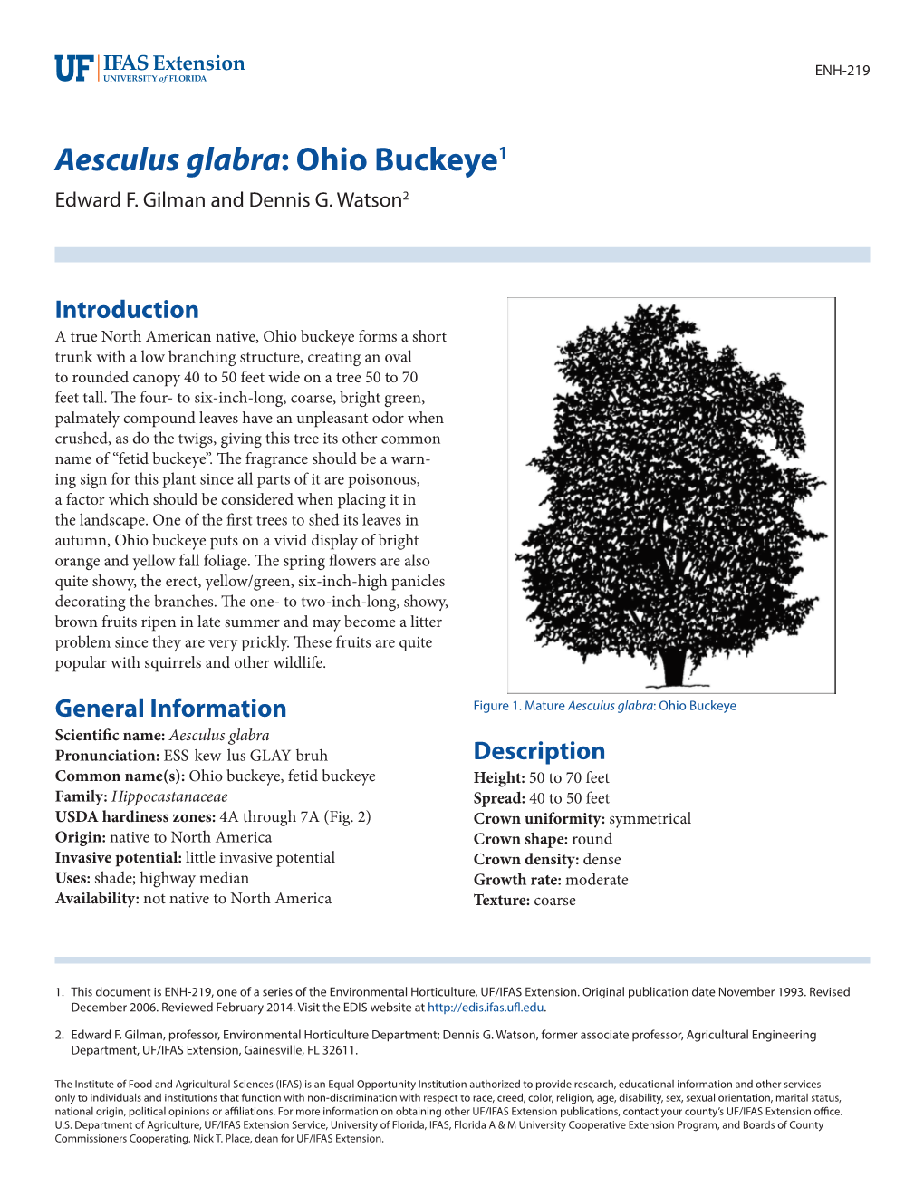 Aesculus Glabra: Ohio Buckeye1 Edward F