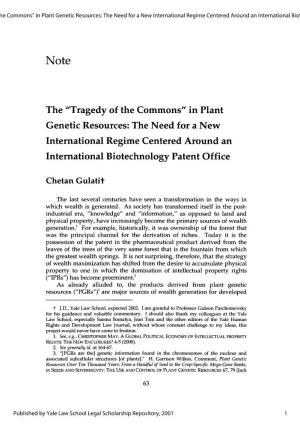 The "Tragedy of the Commons" in Plant Genetic Resources: the Need for a New International Regime Centered Around an International Biotechnology Patent Office