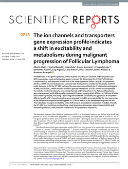 The Ion Channels and Transporters Gene Expression Profile Indicates A