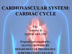 Cardiovascular System: Cardiac Cycle